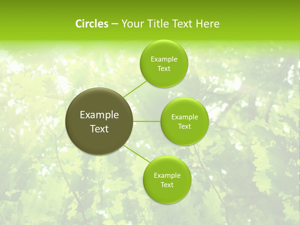 Season Growth Branch PowerPoint Template