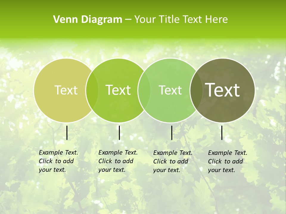 Season Growth Branch PowerPoint Template