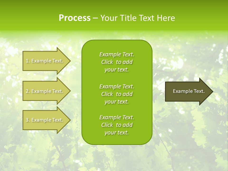 Season Growth Branch PowerPoint Template
