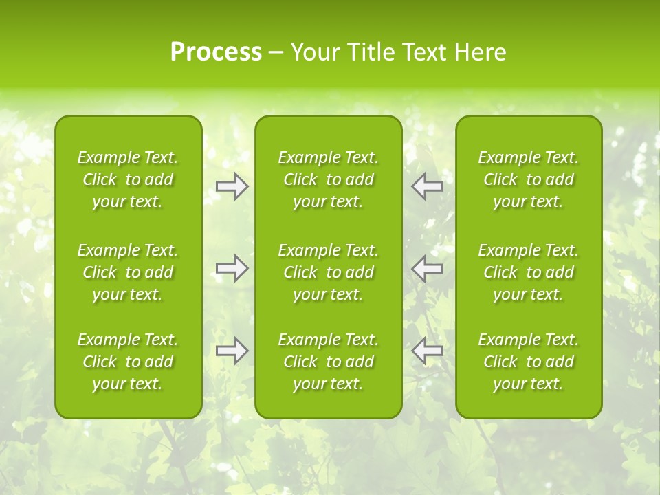 Season Growth Branch PowerPoint Template