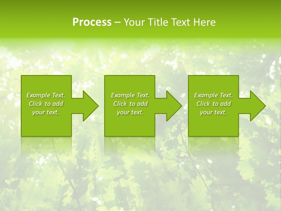 Season Growth Branch PowerPoint Template