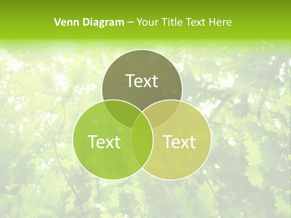 Season Growth Branch PowerPoint Template
