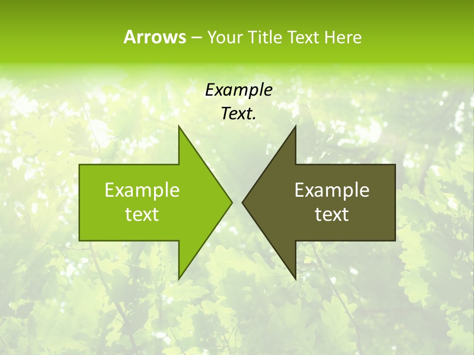 Season Growth Branch PowerPoint Template