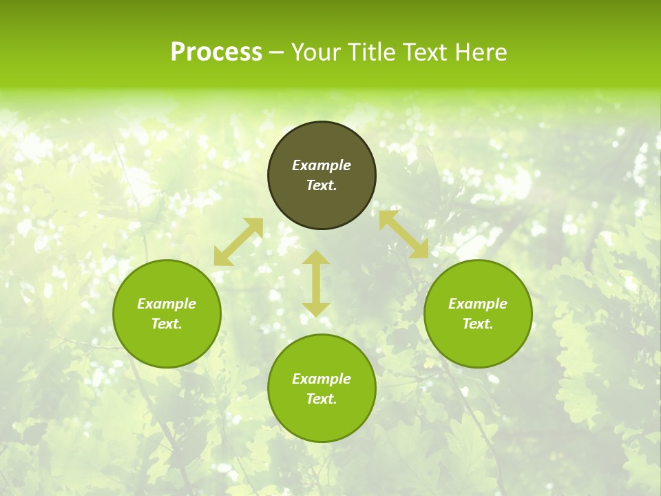 Season Growth Branch PowerPoint Template