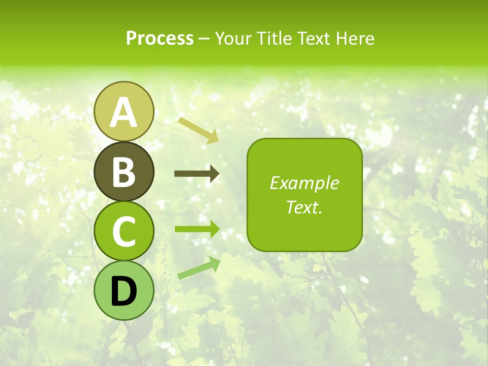 Season Growth Branch PowerPoint Template