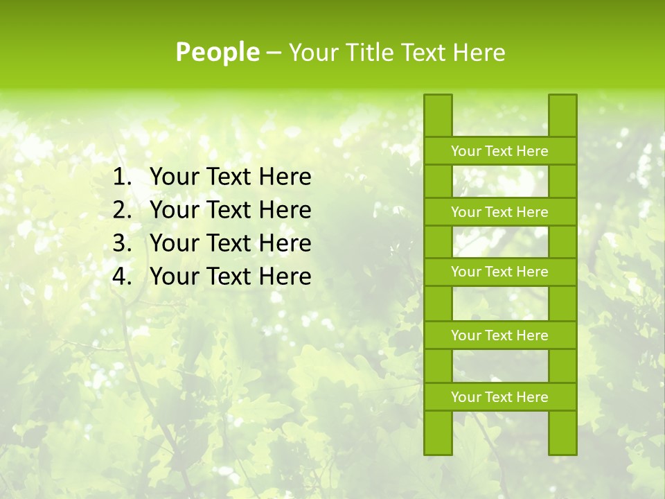 Season Growth Branch PowerPoint Template