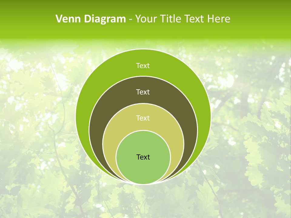Season Growth Branch PowerPoint Template