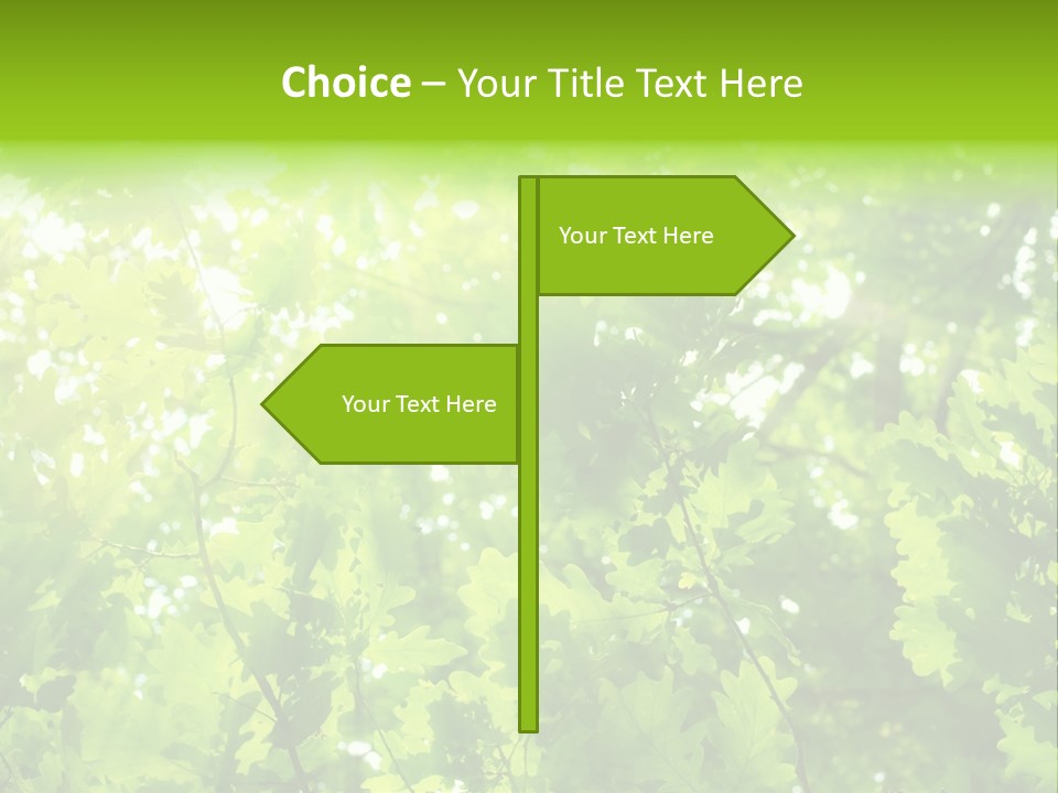 Season Growth Branch PowerPoint Template