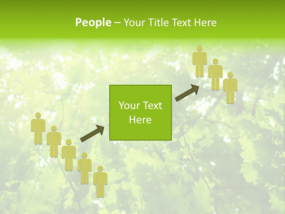 Season Growth Branch PowerPoint Template