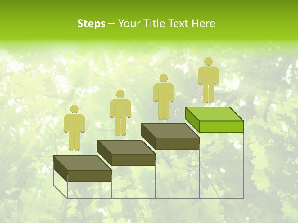 Season Growth Branch PowerPoint Template