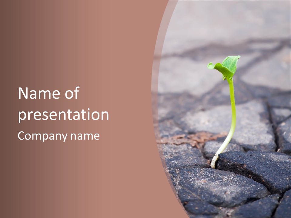 Grow Asphalt Spring PowerPoint Template