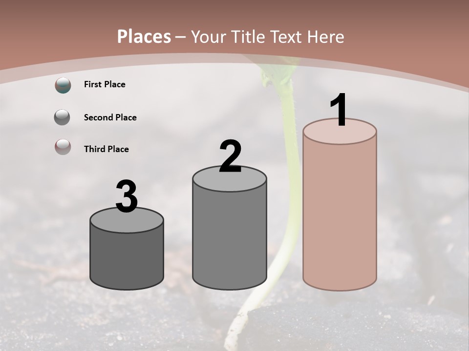 Grow Asphalt Spring PowerPoint Template