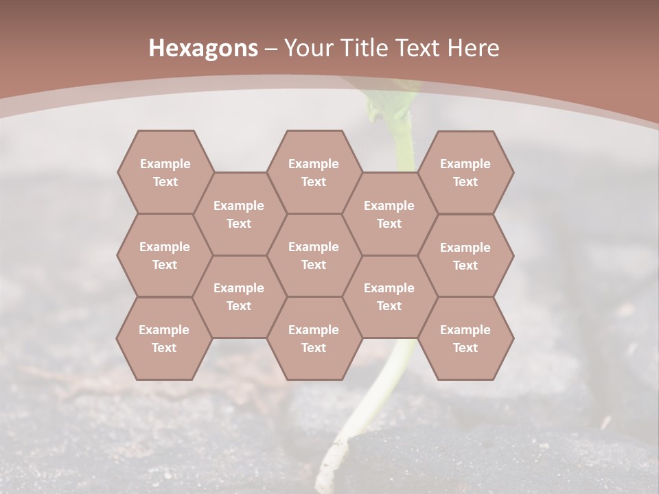 Grow Asphalt Spring PowerPoint Template