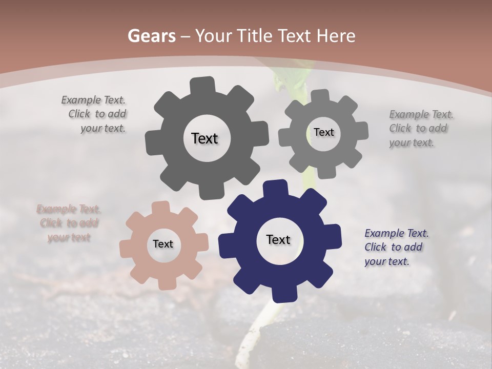 Grow Asphalt Spring PowerPoint Template