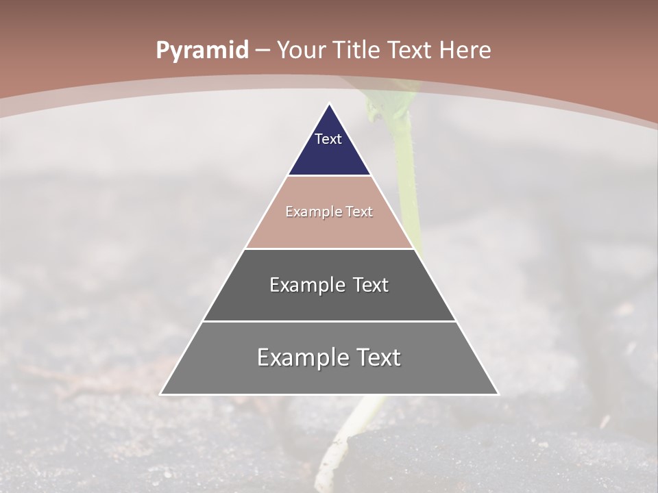 Grow Asphalt Spring PowerPoint Template