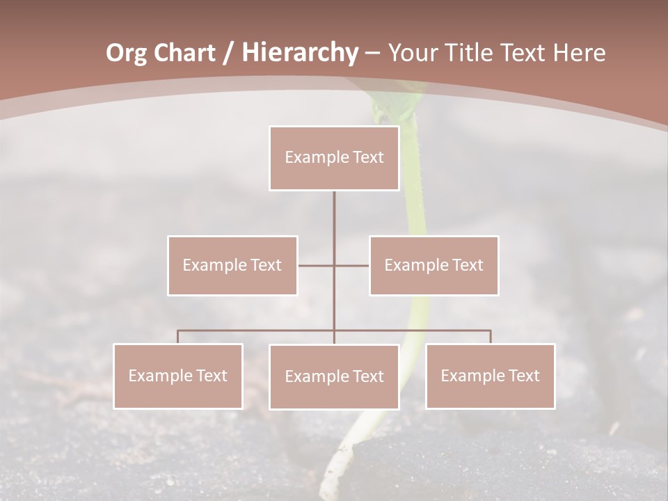 Grow Asphalt Spring PowerPoint Template