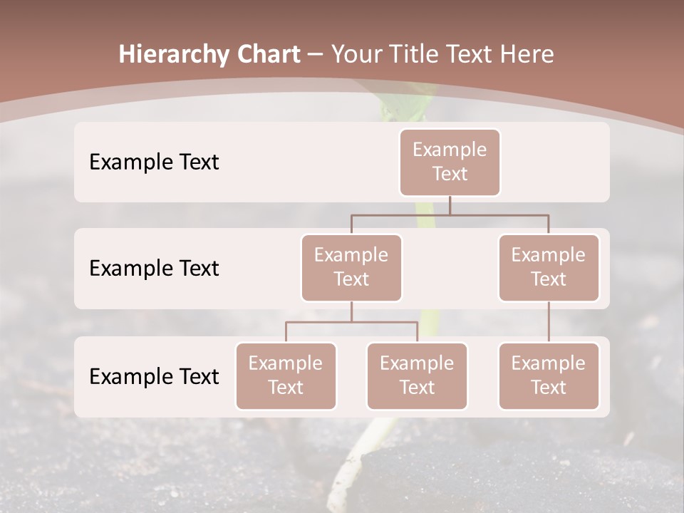 Grow Asphalt Spring PowerPoint Template