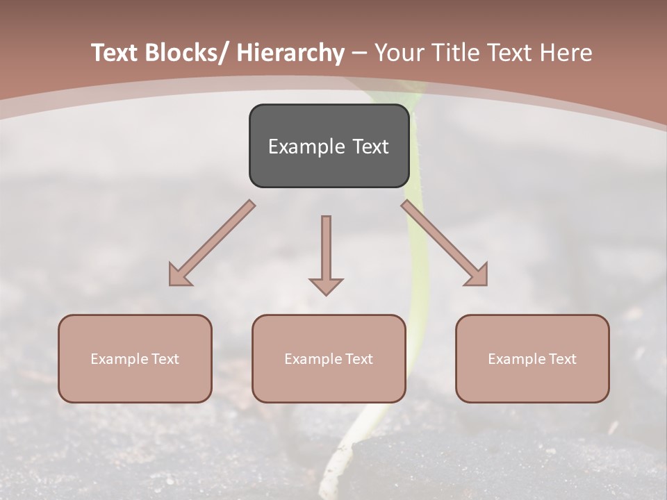 Grow Asphalt Spring PowerPoint Template
