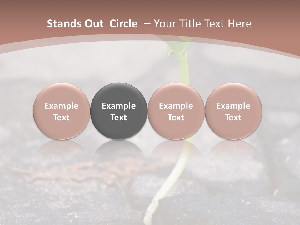 Grow Asphalt Spring PowerPoint Template