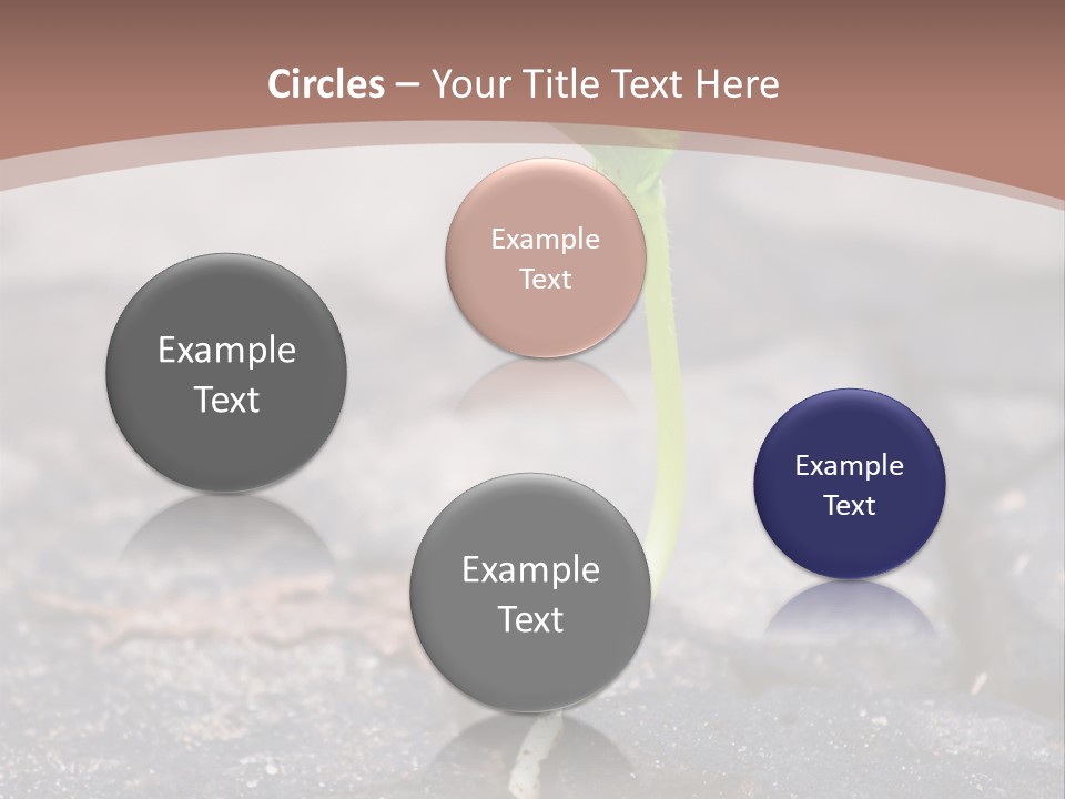 Grow Asphalt Spring PowerPoint Template