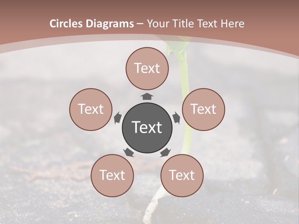 Grow Asphalt Spring PowerPoint Template