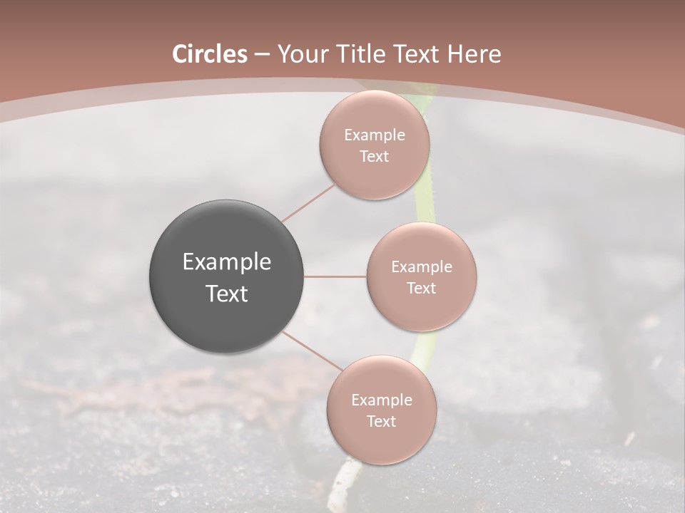 Grow Asphalt Spring PowerPoint Template