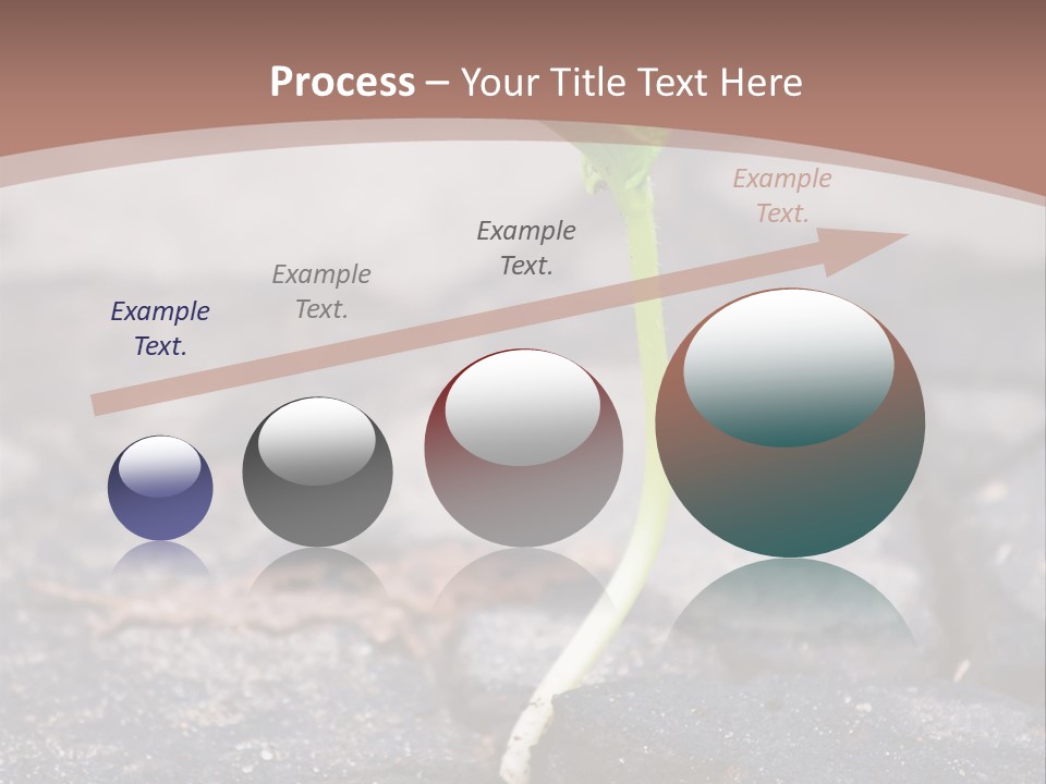 Grow Asphalt Spring PowerPoint Template