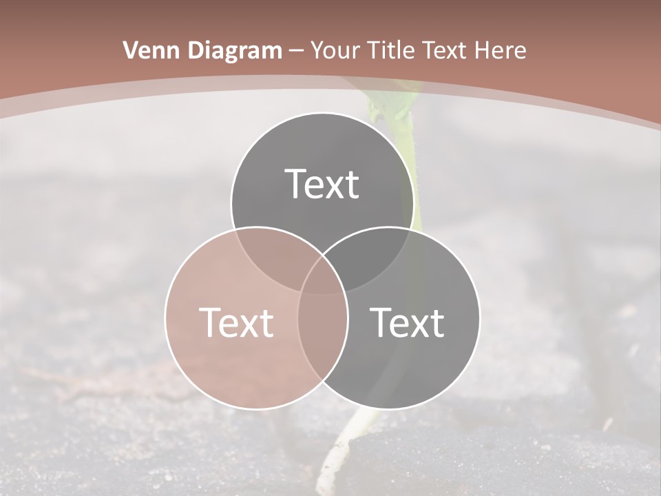 Grow Asphalt Spring PowerPoint Template