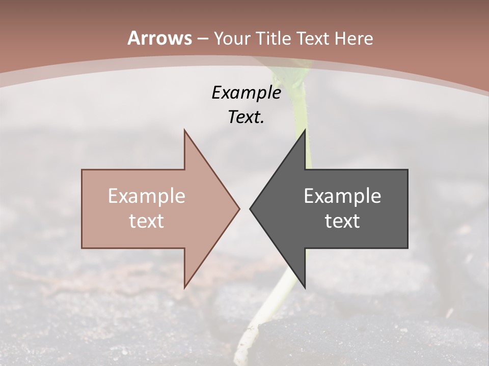 Grow Asphalt Spring PowerPoint Template