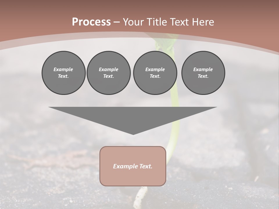 Grow Asphalt Spring PowerPoint Template