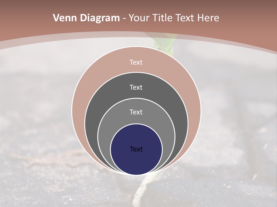 Grow Asphalt Spring PowerPoint Template