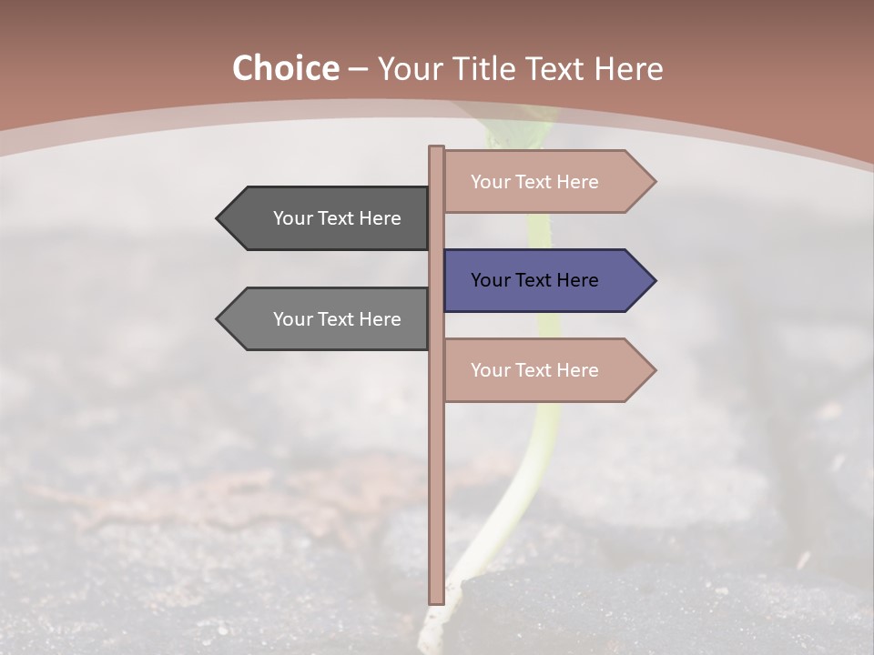 Grow Asphalt Spring PowerPoint Template