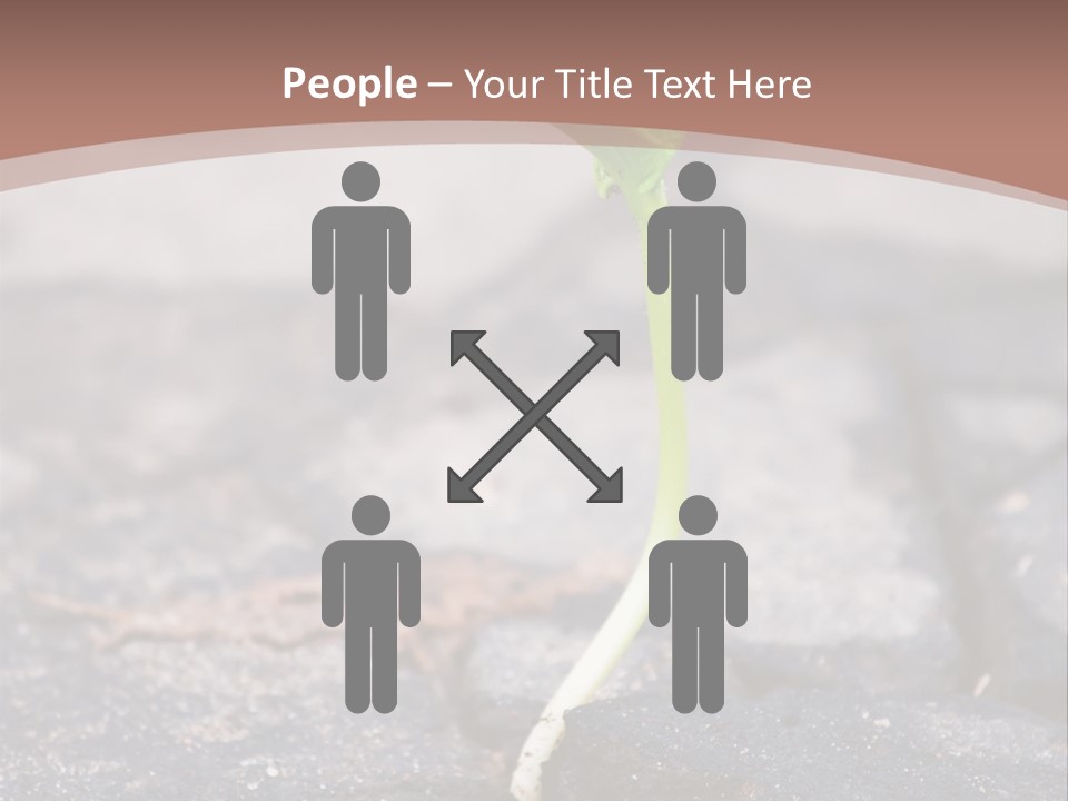 Grow Asphalt Spring PowerPoint Template