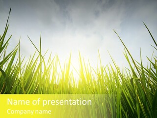 Nature Pasture Earth PowerPoint Template