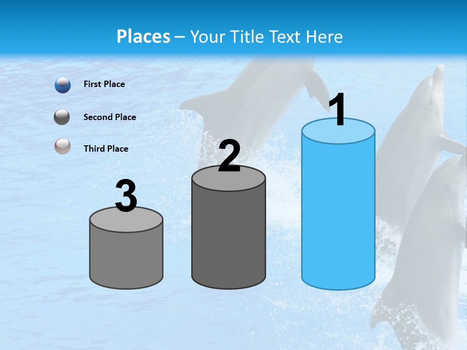 Water Dolphin Jump PowerPoint Template