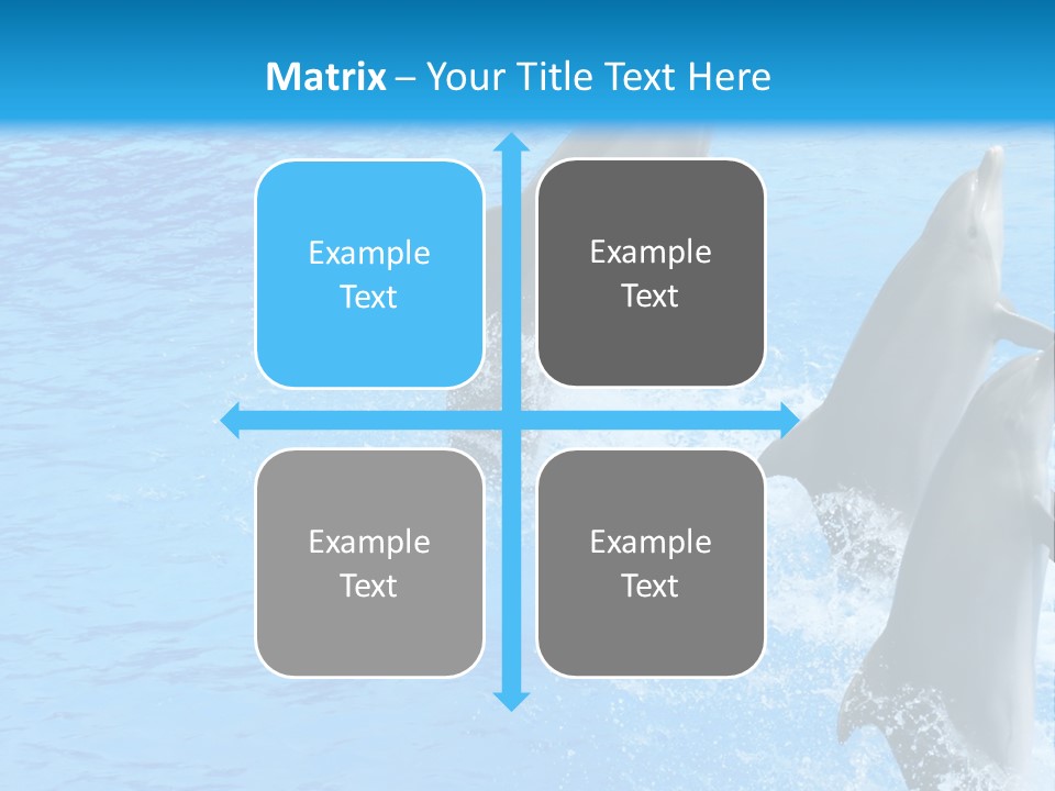 Water Dolphin Jump PowerPoint Template