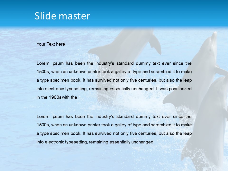 Water Dolphin Jump PowerPoint Template