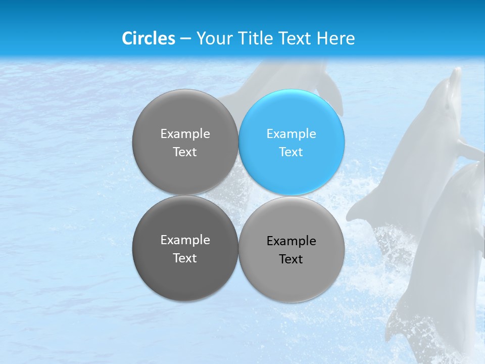 Water Dolphin Jump PowerPoint Template