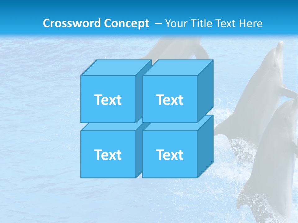 Water Dolphin Jump PowerPoint Template
