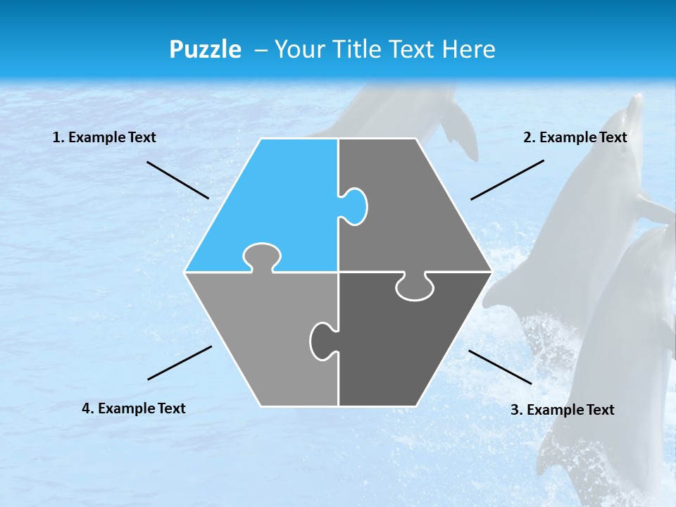 Water Dolphin Jump PowerPoint Template