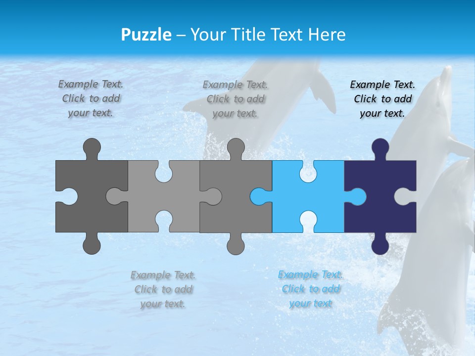 Water Dolphin Jump PowerPoint Template