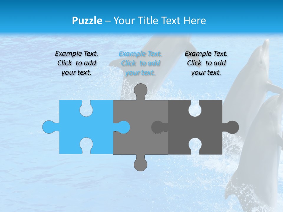 Water Dolphin Jump PowerPoint Template