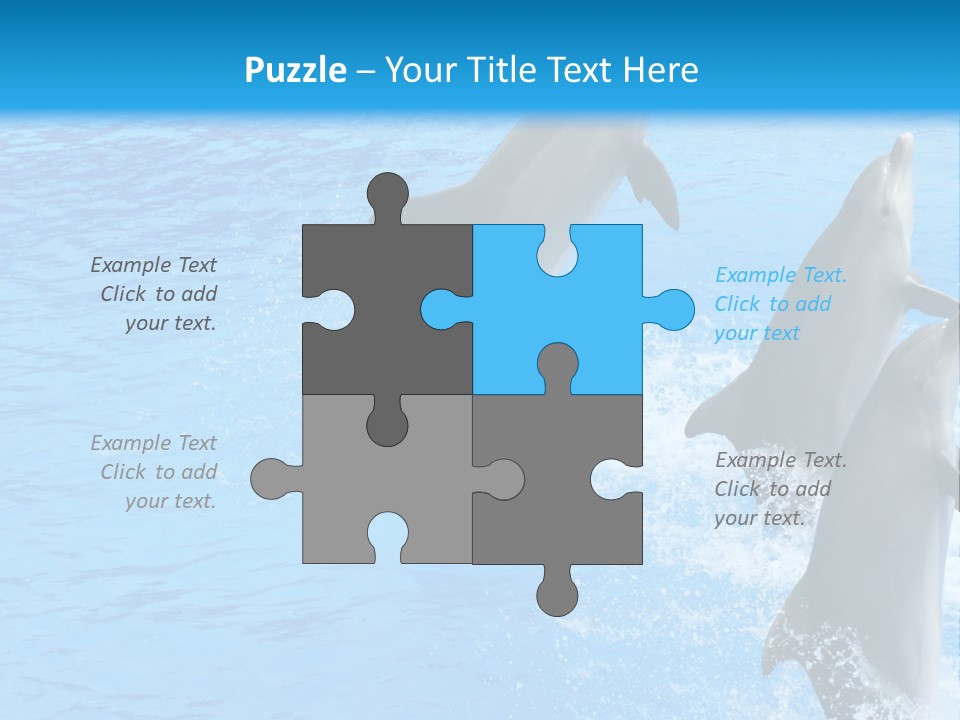 Water Dolphin Jump PowerPoint Template