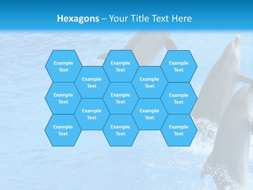 Water Dolphin Jump PowerPoint Template