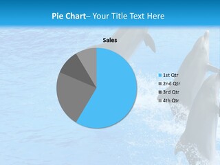 Water Dolphin Jump PowerPoint Template