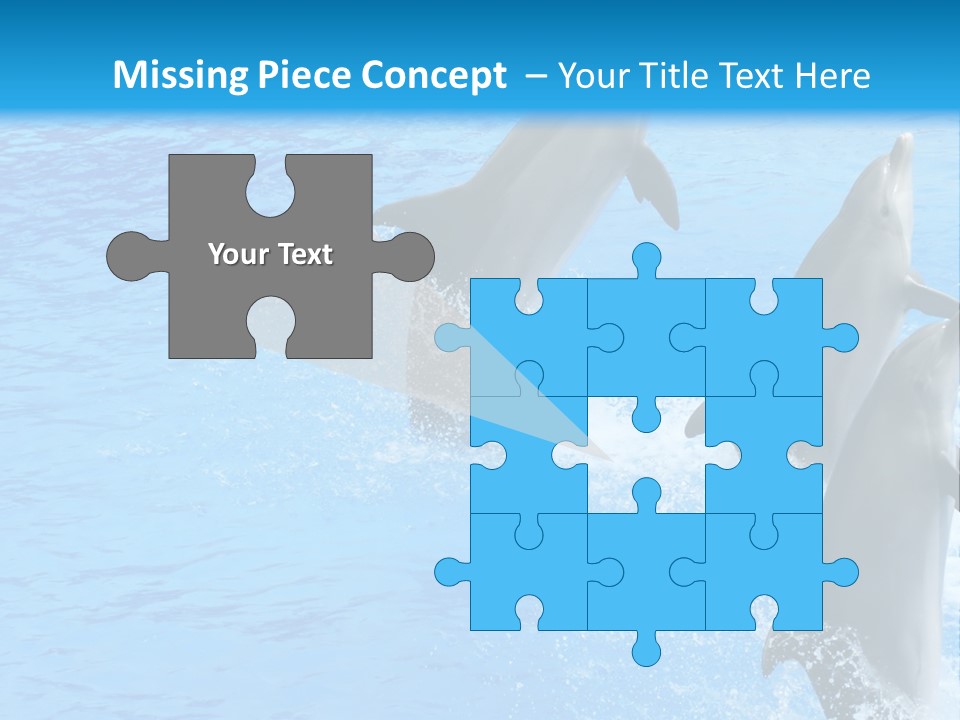 Water Dolphin Jump PowerPoint Template