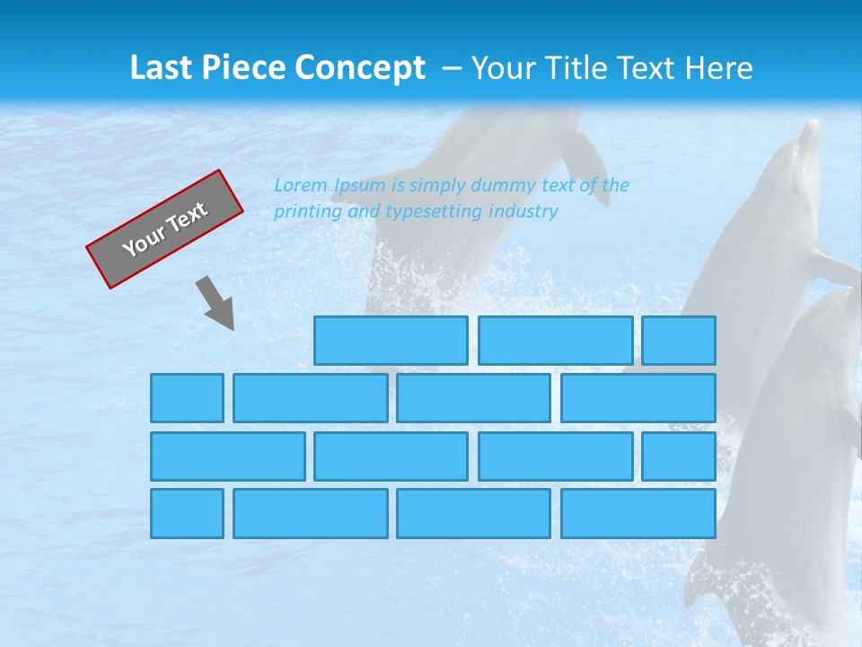 Water Dolphin Jump PowerPoint Template