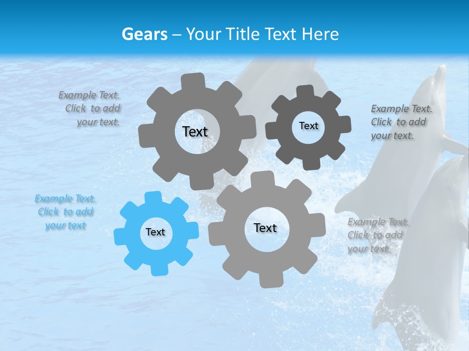 Water Dolphin Jump PowerPoint Template