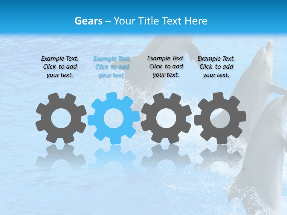 Water Dolphin Jump PowerPoint Template