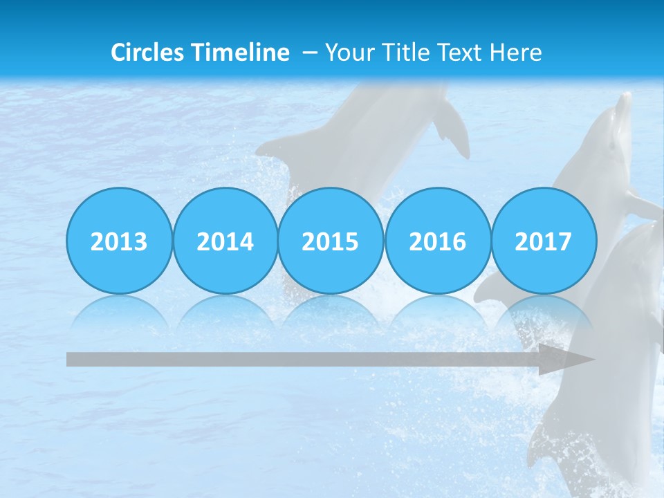 Water Dolphin Jump PowerPoint Template